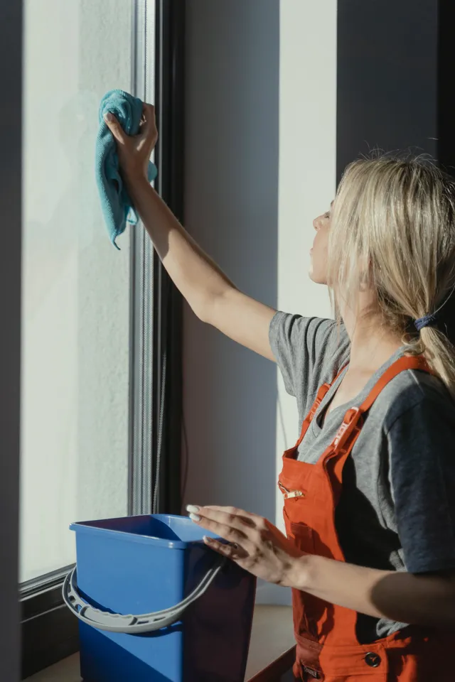 Window Cleaning